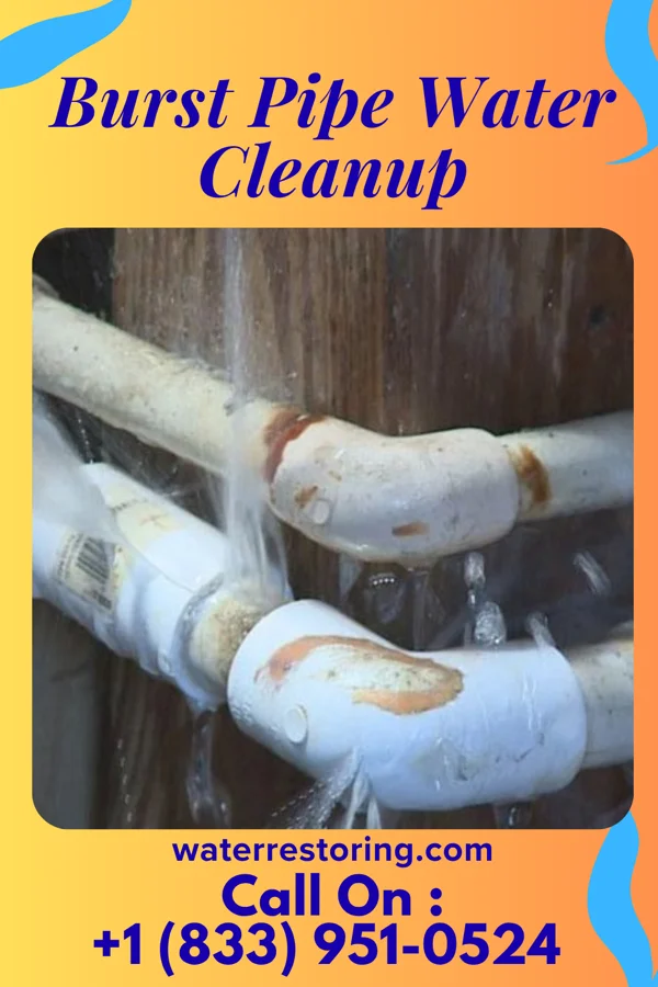 Burst Pipe Water Cleanup in Earlsboro, OK